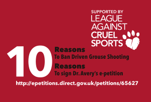 10 Reasons business card