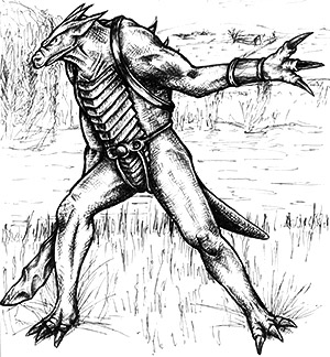 Dracci Scout illustration