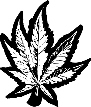 Hempolics Leaf Illustration