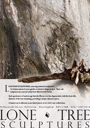 Lone Tree Sculptures Poster