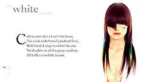 Screen Capture of White Collection Flash Application