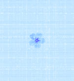 Forget-me-not tile